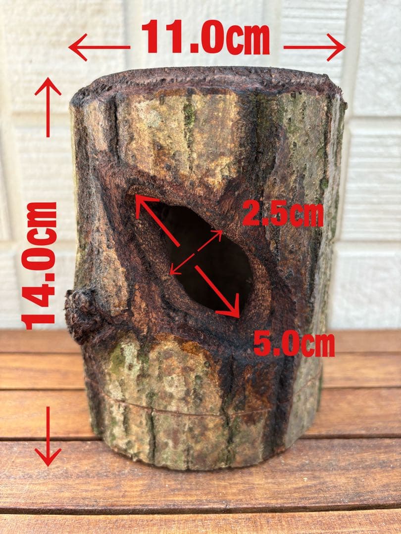 クワガタ隠れ家、クワリウム、樹洞、うろ、昆虫えさ台、登り木