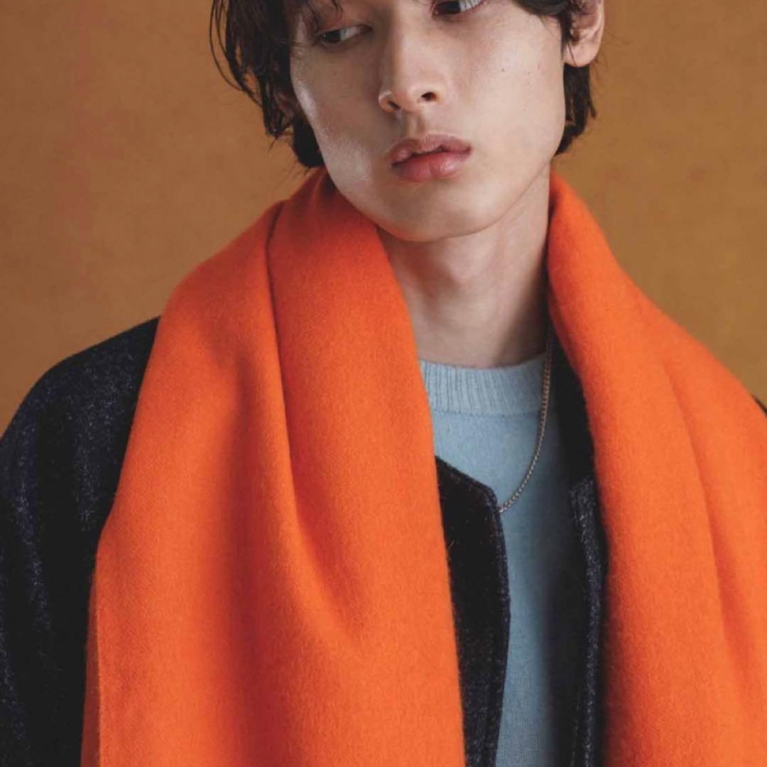 THE INOUE BROTHERS ADAM ET ROPE'大判ストール - メルカリ